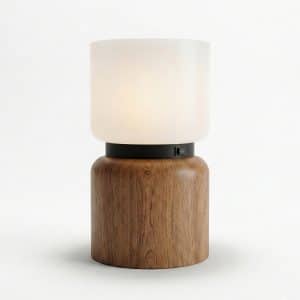 Style CT8448 Public Area Accent Table Lamp